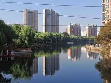 吃什么东西容易导致流产杨德龙：2025年巴菲特股东大会干货满满
