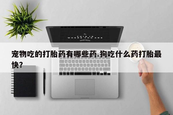 吃什么东西容易导致流产宠物吃的打胎药有哪些药.狗吃什么药打胎最快？