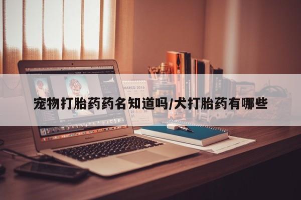 吃什么东西容易导致流产宠物打胎药药名知道吗/犬打胎药有哪些
