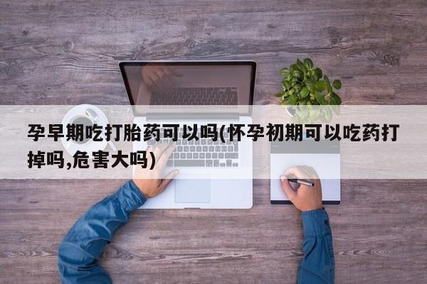 吃什么东西容易导致流产孕早期吃打胎药可以吗(怀孕初期可以吃药打掉吗,危害大吗)