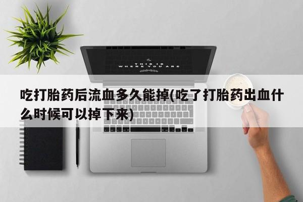 admin 第816页