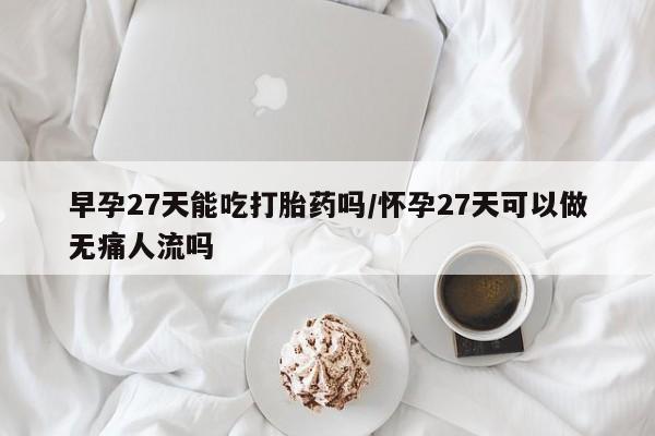 吃什么东西容易导致流产早孕27天能吃打胎药吗/怀孕27天可以做无痛人流吗
