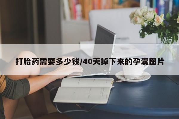 吃什么东西容易导致流产打胎药需要多少钱/40天掉下来的孕囊图片